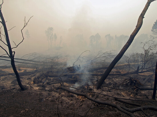   Михаил Ковалев