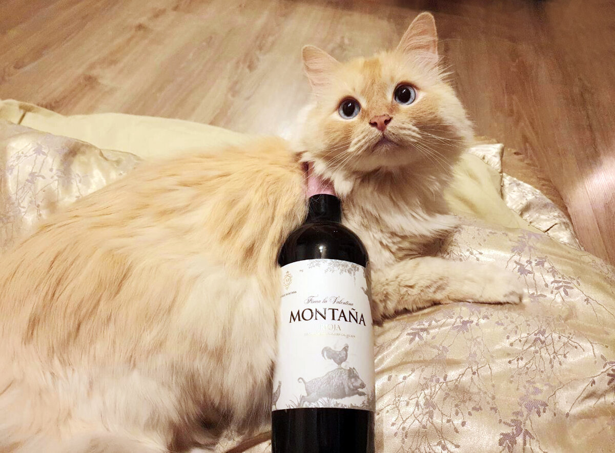 Испанское вино Montana Finca La Valentina Crianza