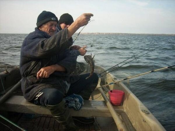 Источник фото: breedfish.ru