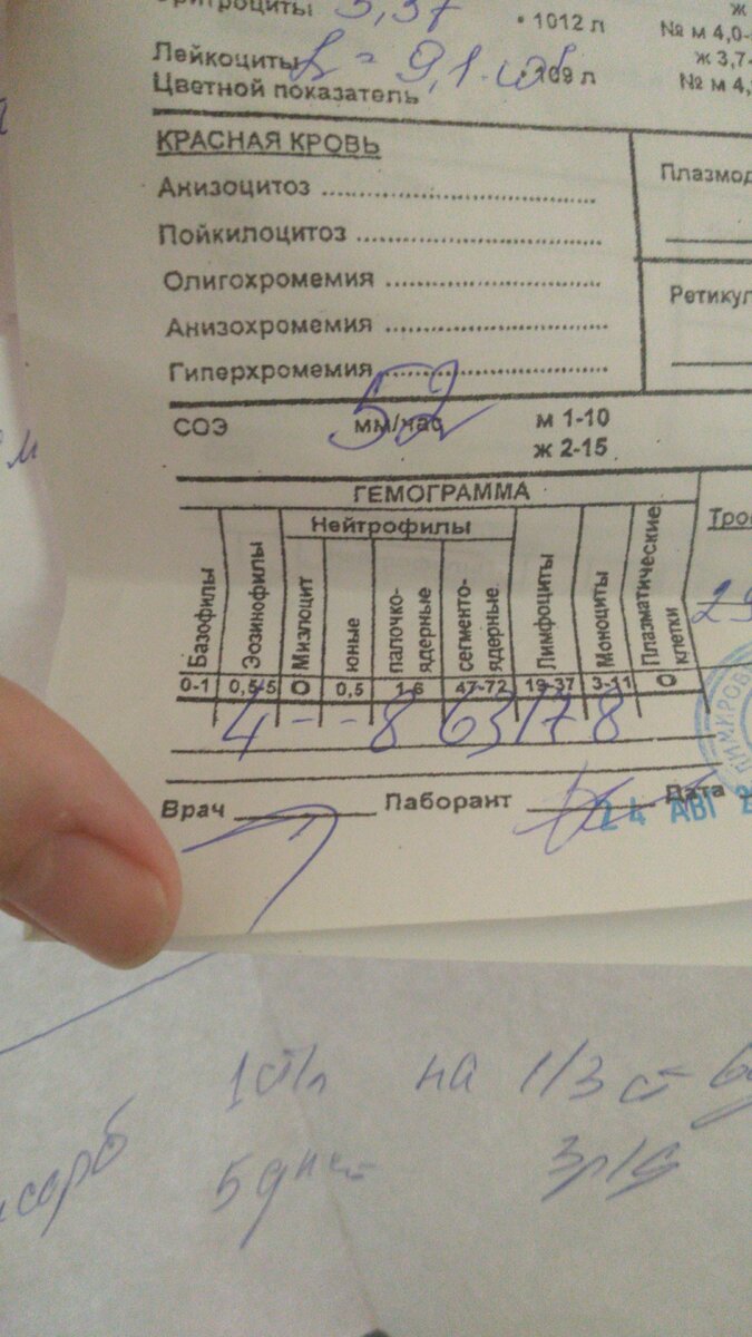 Куча всяких анализов, бумажек. И куча денег, потраченных на анализы и лекарства, можно было в Турцию слетать (