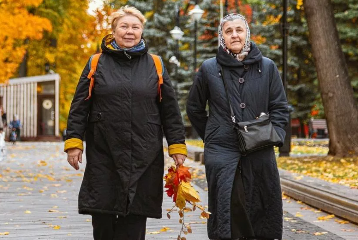Пенсионеры осенью. Пенсионеры осень. Пенсионеры осень Россия. Российские пенсионеры. Пожилые люди в парке осенью.