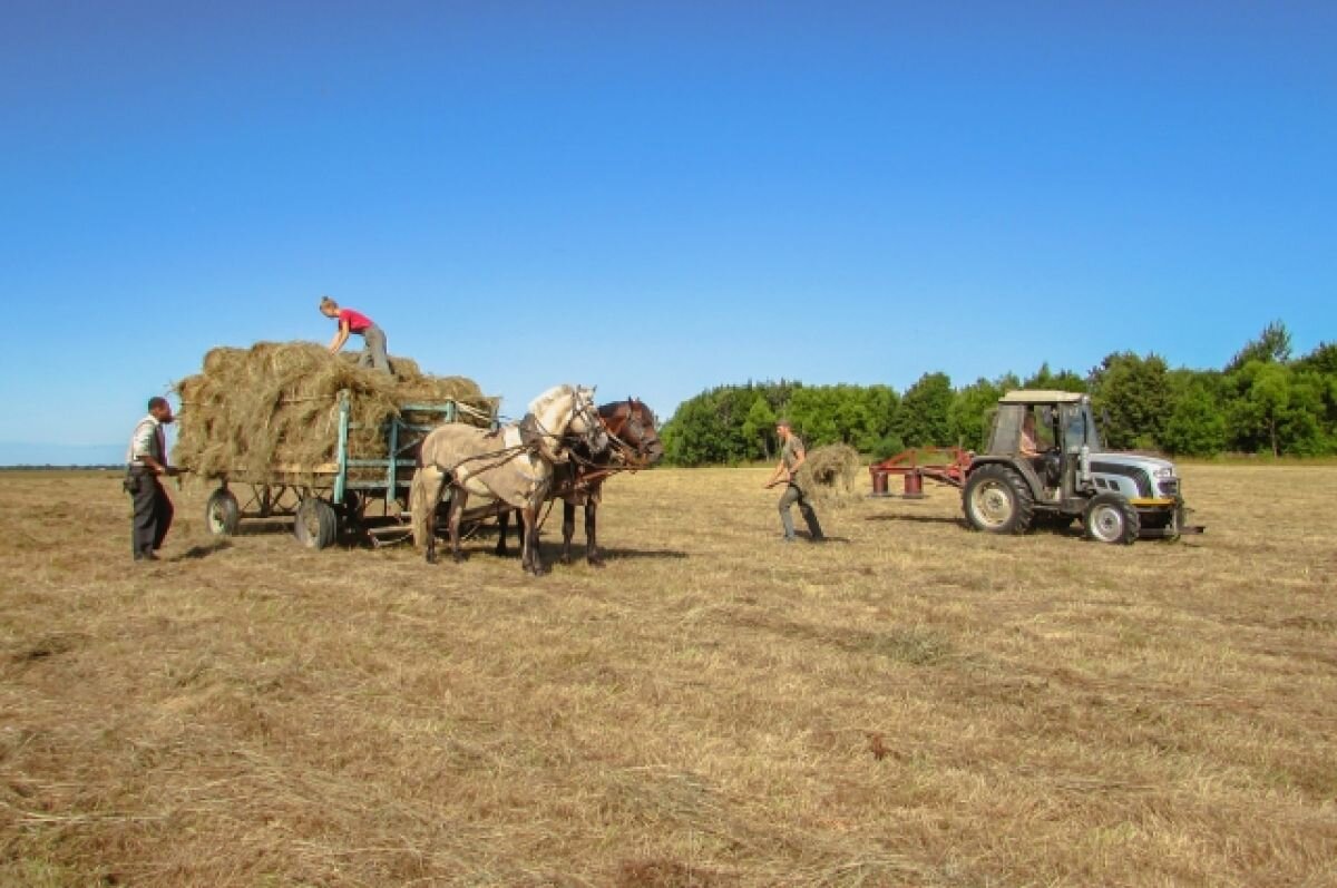    В Тверской области проходит конкурс «Лучшее семейное подворье»