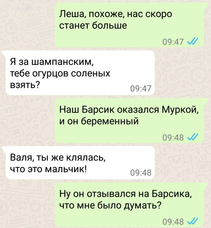 Голосовое сообщение. Скриншот приколы. Ответить на сообщение. Проверь телефон вдруг там что-то важное. Смешные переписки в тендере.