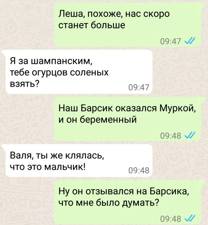 Сообщения многим. Несколько сообщений. Много смс.