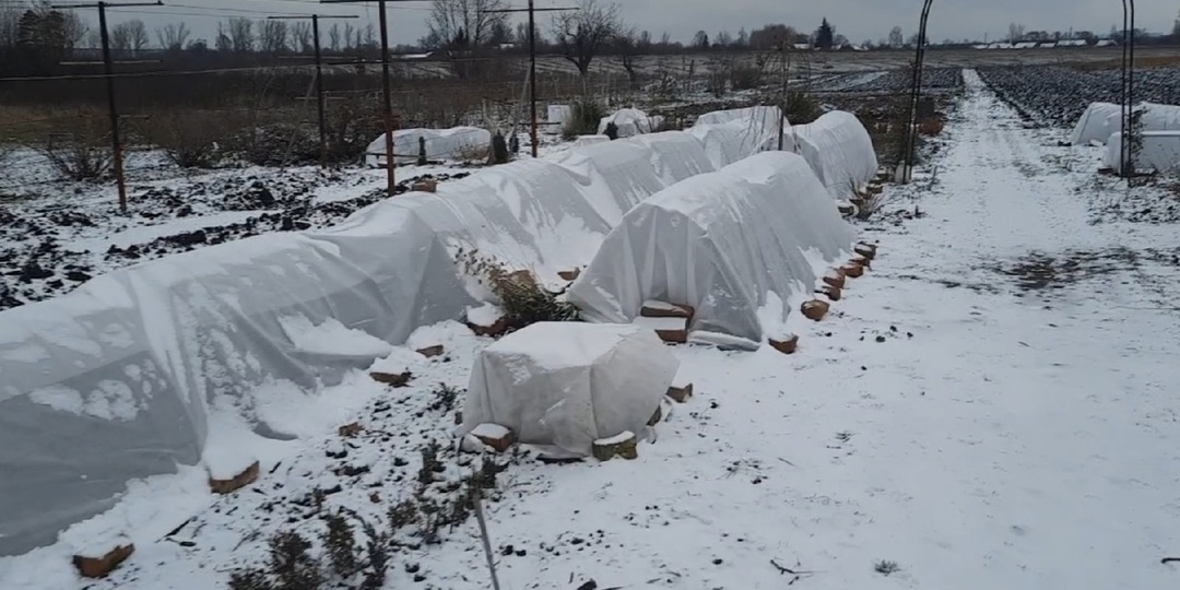 ГОРОД СПЯЩИХ КРАСАВИЦ!