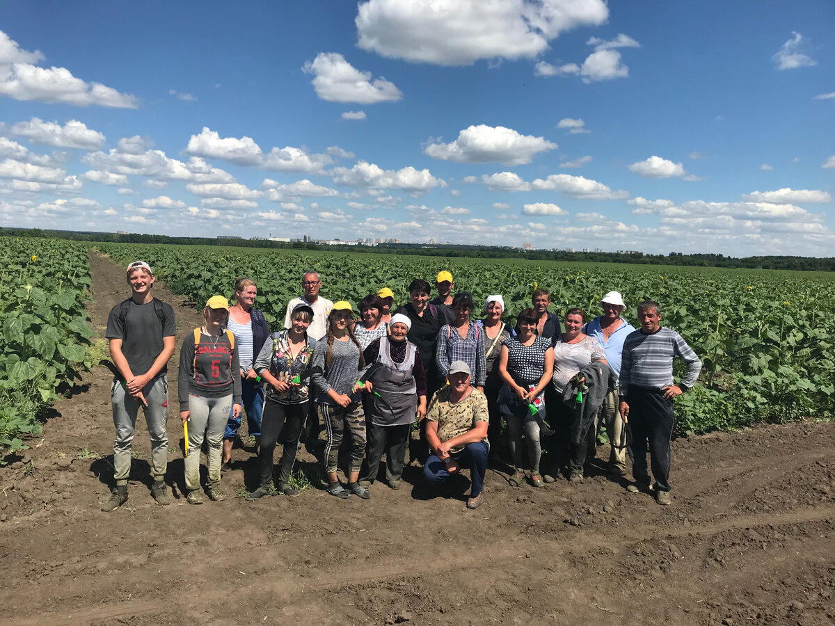 Сфнца ран: ниисх северного зауралья тюмень. Курганский ниисх. Опх книисх. Мордовский ниисх ялга. Опх книисх.