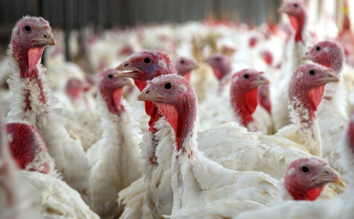 Источник фото: chr.rbc.ru