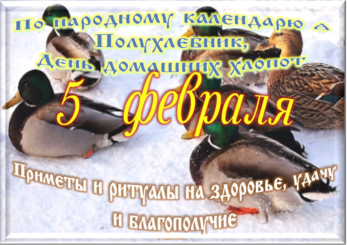 Праздники 5 6