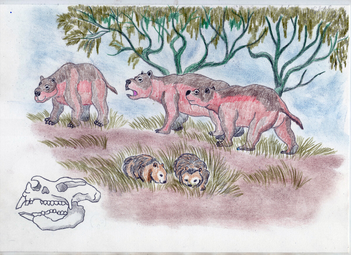 Дипротодон