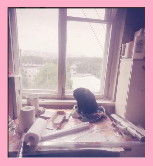 Кот и ремонт.