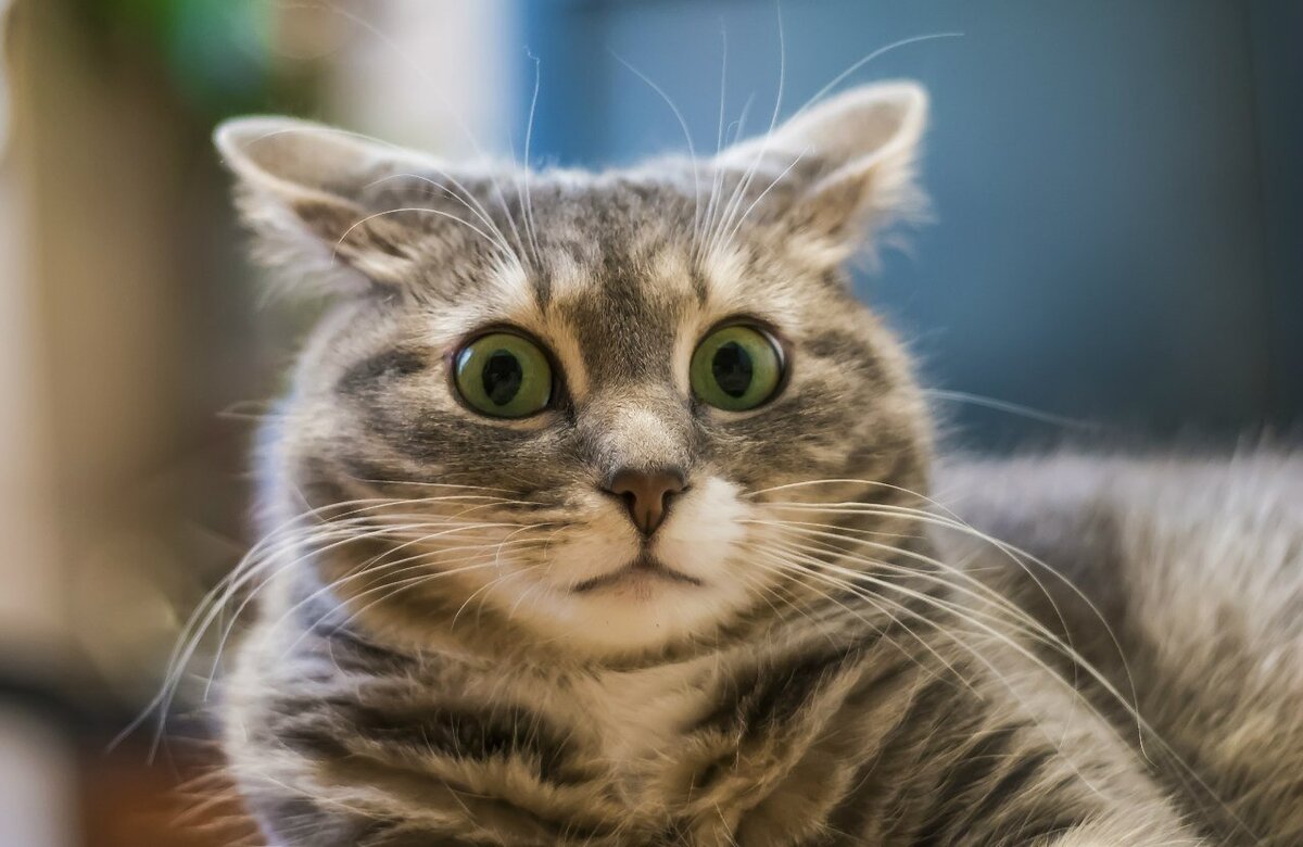 в это так трудно поверить?