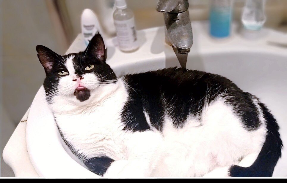 Геральт, любим и нужен