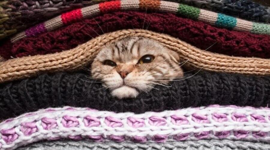    Что такое вязальная машина? Фото: Depositphotos