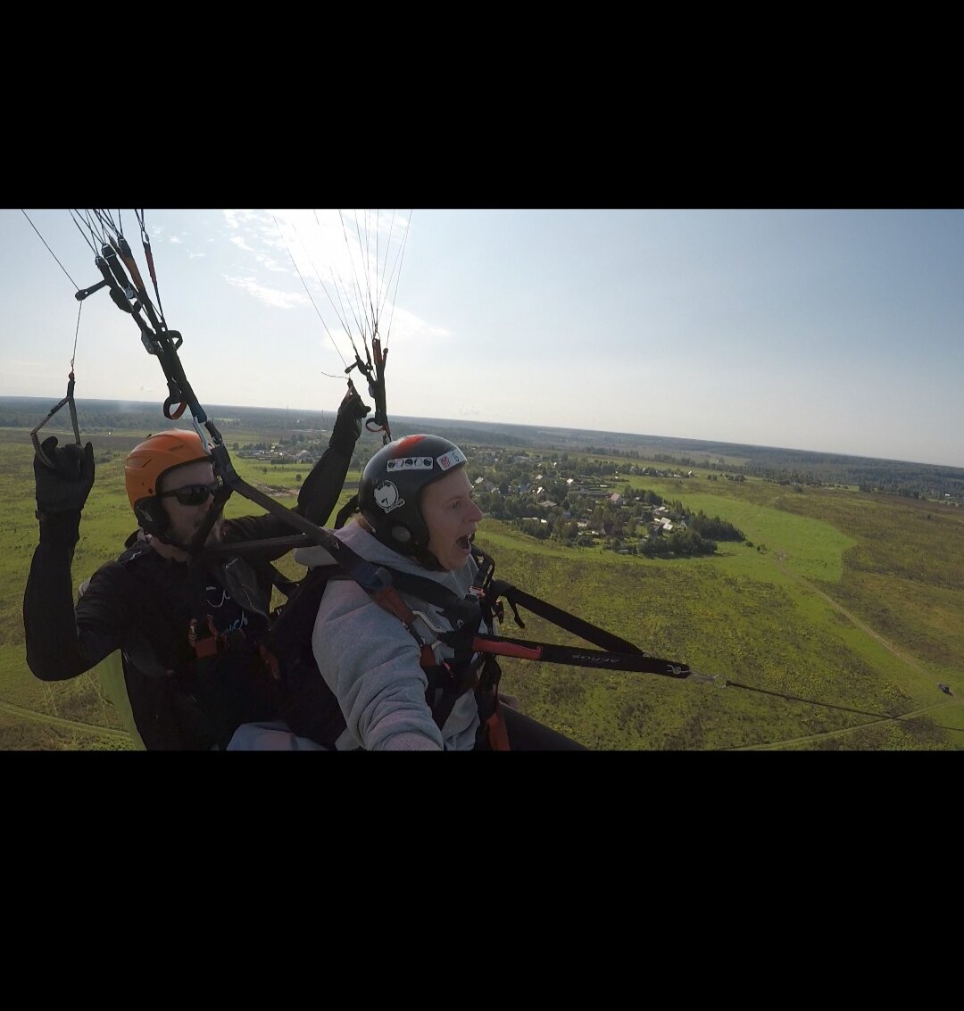 Крик раненой птицы