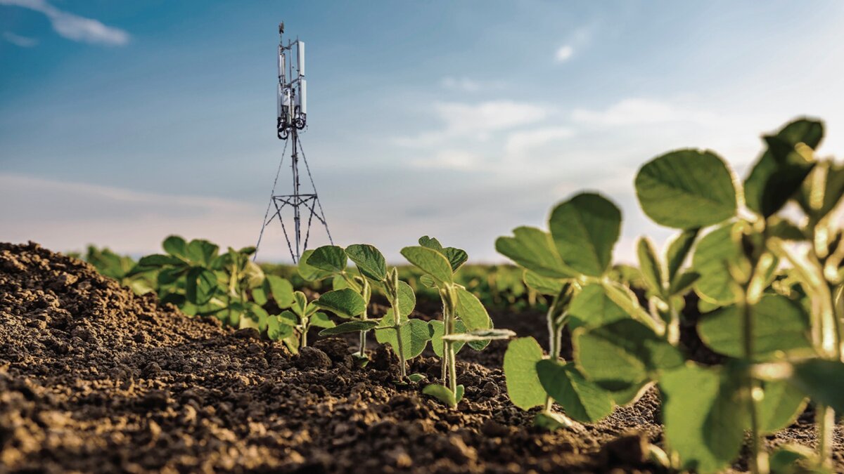 Анекдот: В деревне установили вышку сотовой связи. Через месяц население подало жалобу. Что, яблоки не родятся,  картошка не растёт...
Ответ сотового оператора:
-  Вы только подумайте, что будет, когда мы её включим...
