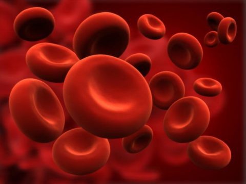  Гемолиз встречается как в норме, так и при патологии