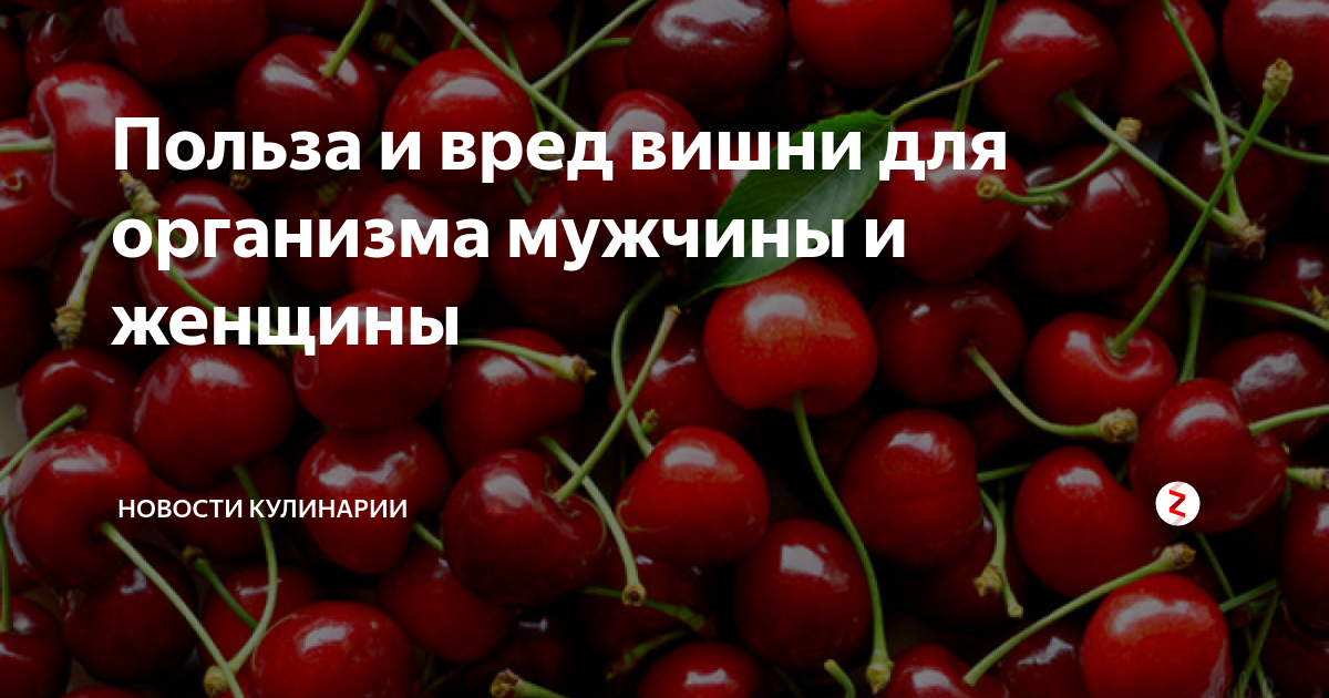 Вишня польза. Польза вишни для организма. Польза и вред вишни для организма человека. Чем полезна вишня для организма женщины.