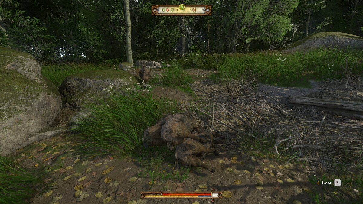 Охота на кабанов больше похожа на промышленную заготовку мяса