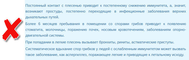 Грибок на стенах в квартире: что это такое, чем опасен и как с ним бороться – компания воздухбел