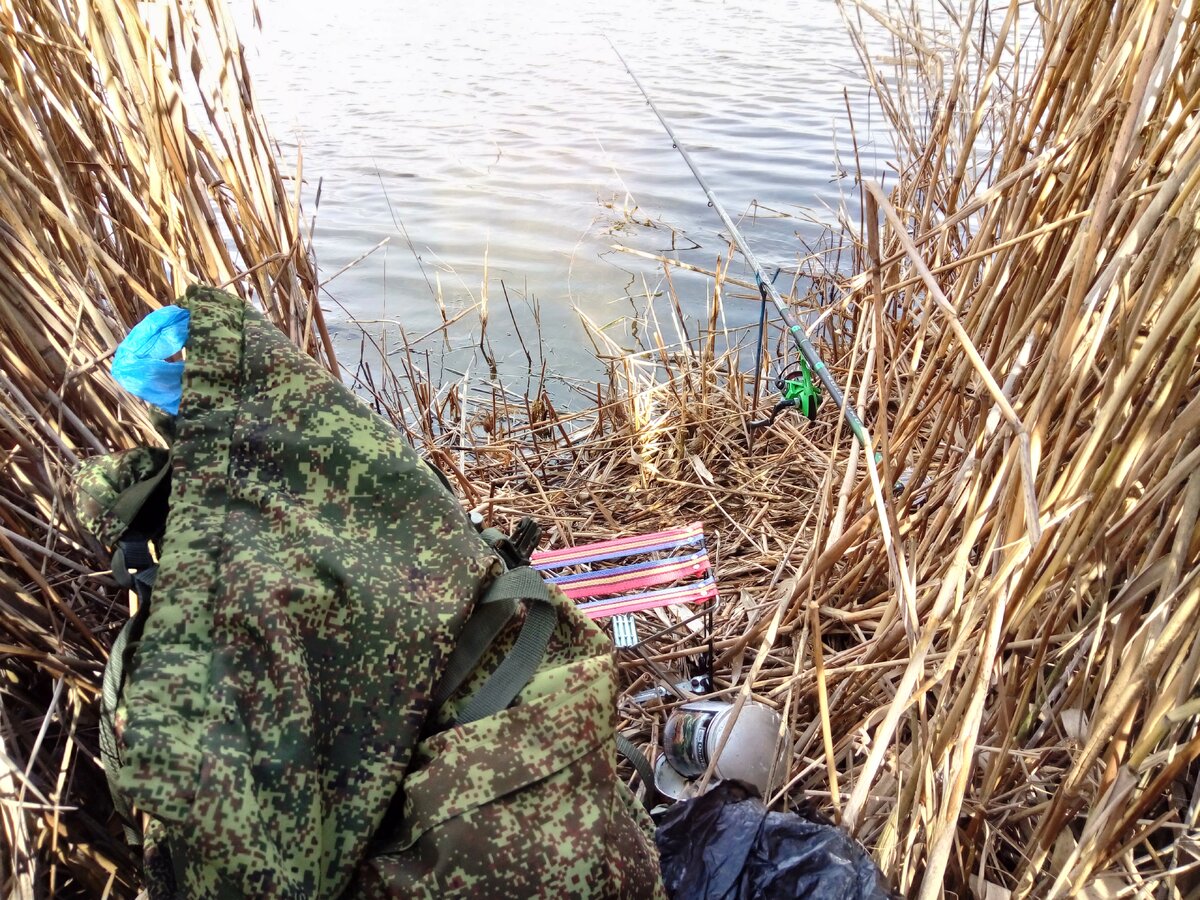 фото любителя рыбалки его инвентарь на рыбалке в камышах