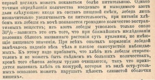 Крапива лебеда по дорожке стелется текст. Рецепты из лебеды. Хлеб из лебеды. Крапива лебеда слова.