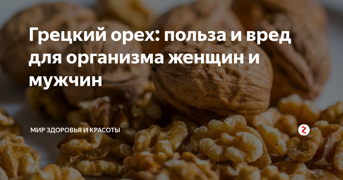 Грецкий орех для организма. Грецкий орех полезные для женщин. Польза грецкого ореха для организма. Грецкий орех польза и вред для организма. Чем полезен грецкий орех для организма.