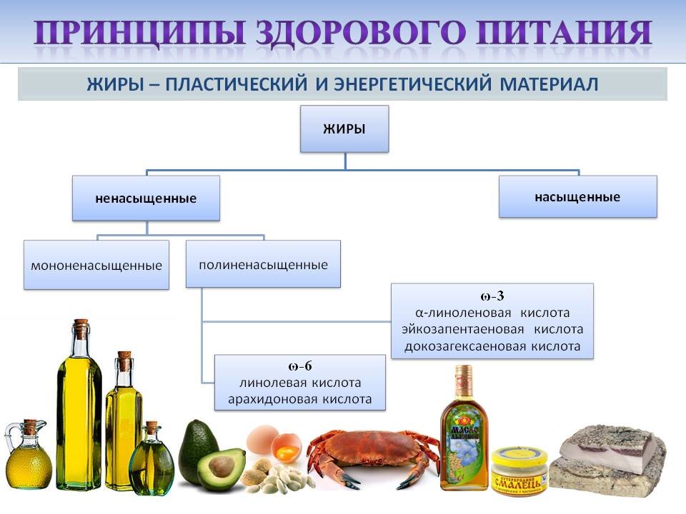 Проект жиры как продукт питания и химическое сырье