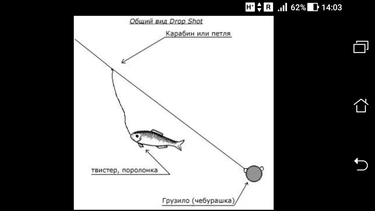 Дроп шот оснастка на окуня схема