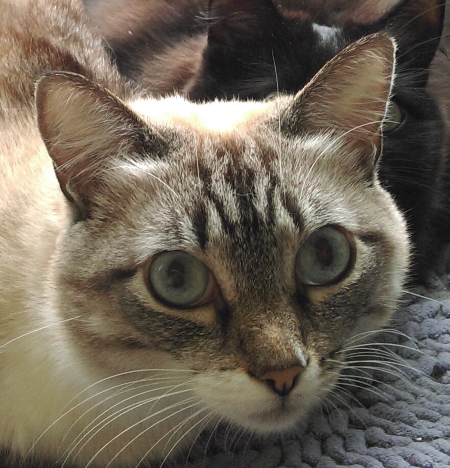 Страшные ацетиленовые люди! Гоните их прочь... кто-нибудь.