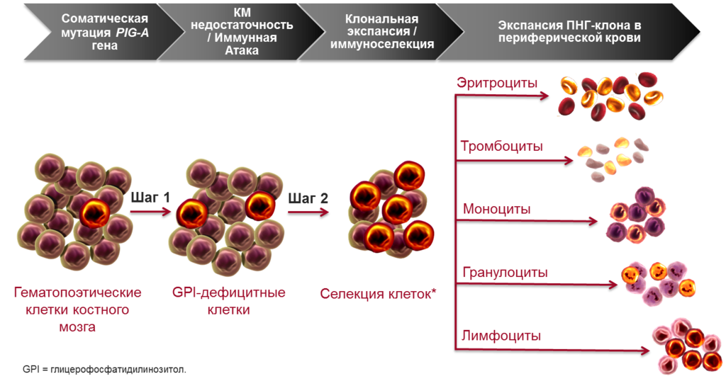 Исходник картинки: Википедия