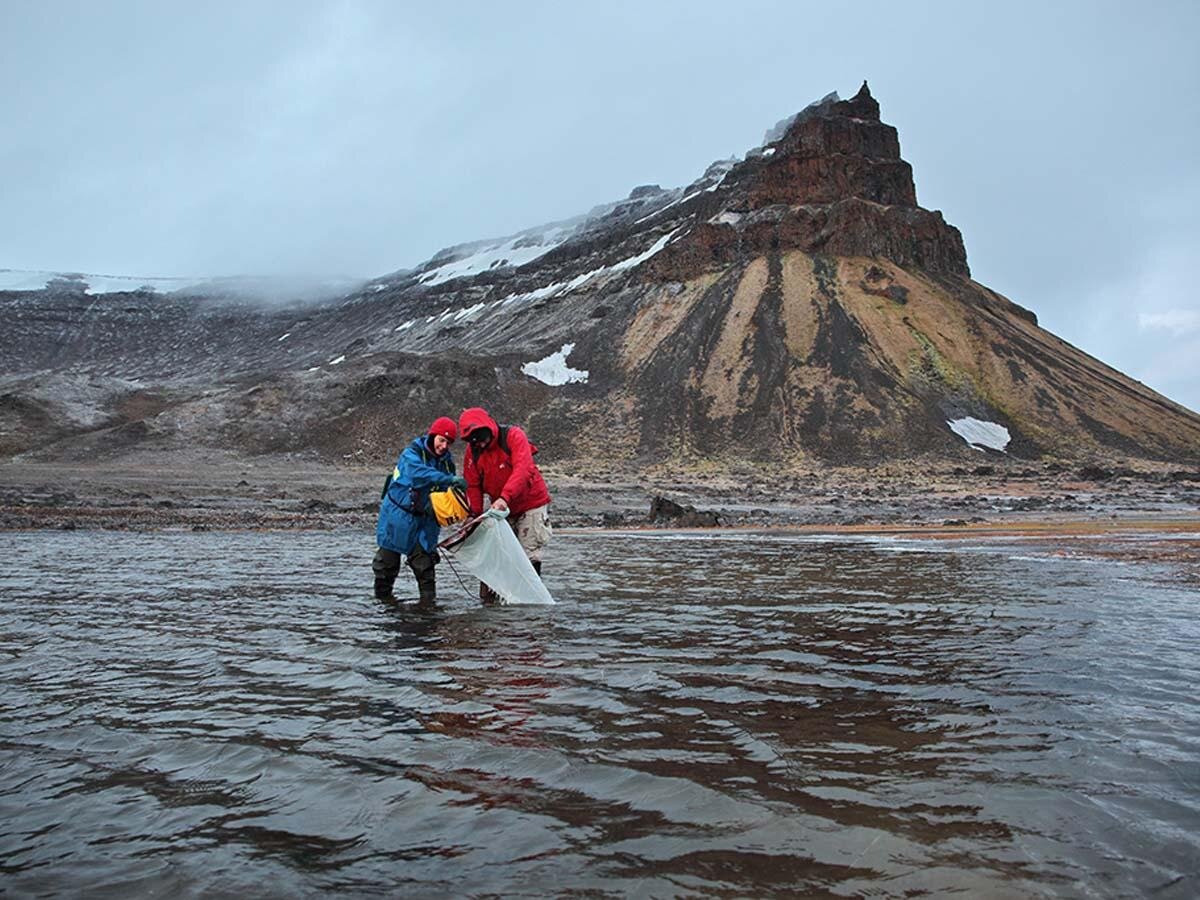Снаряжение для зимнего похода. Собираю экспедицию. Собираю экспедицию. Полевое наблюдение. Экспедиция седова к северному полюсу 1912 1914.
