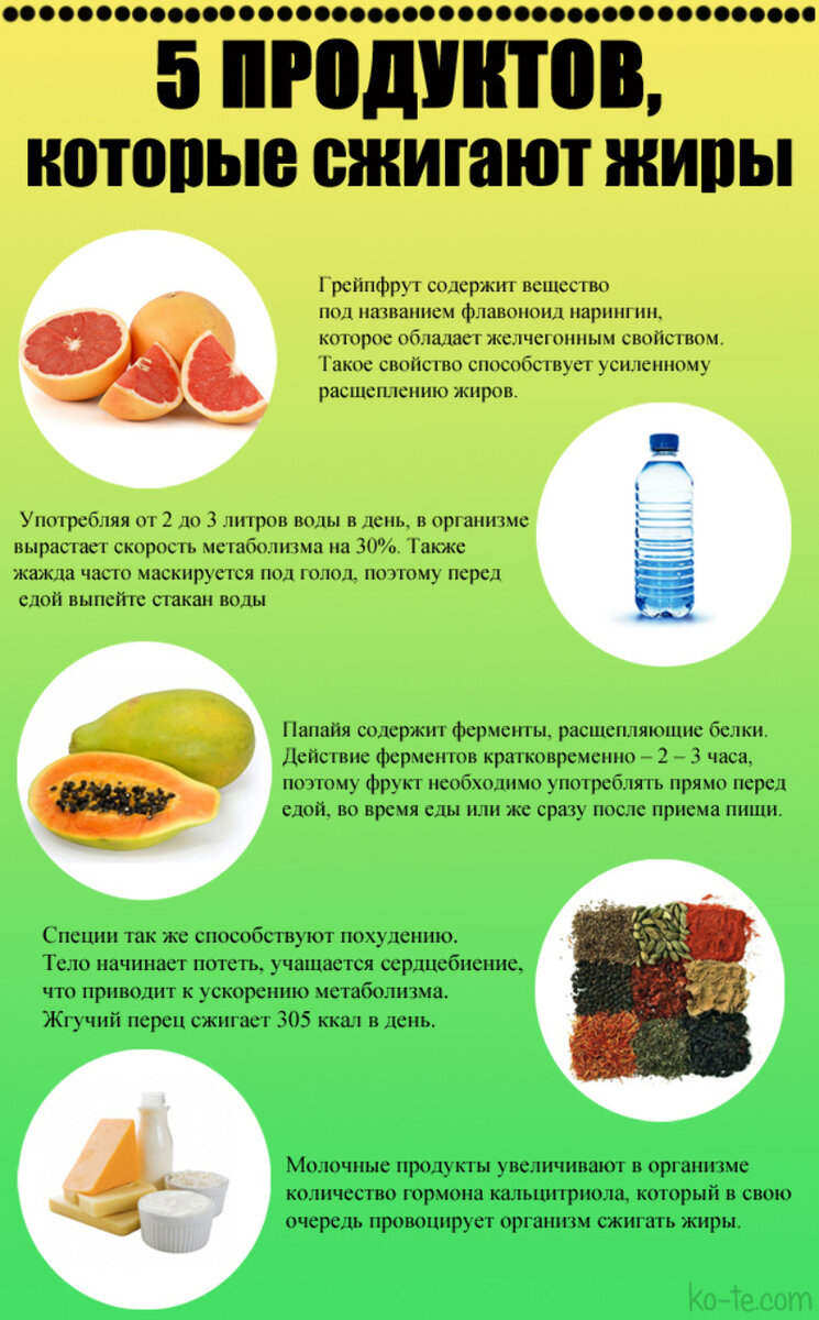 Какие продукты сжигают жир: ТОП - estry.ru