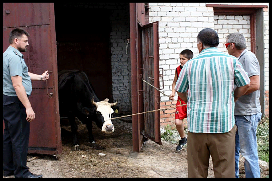 фото с сайта yarreg.ru