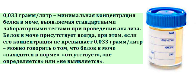 Белок в моче повод обследоваться полностью! 