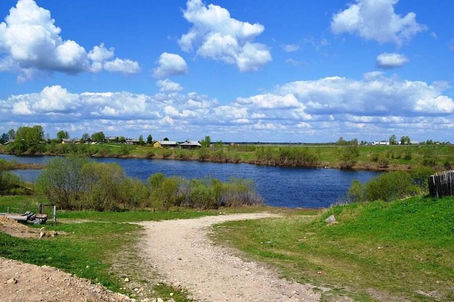 Елс озеро плесецкий район