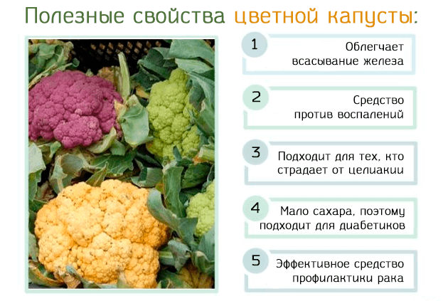 Цветная капуста. Польза, вред и противопоказания для здоровья | WeLady.ru |  Дзен
