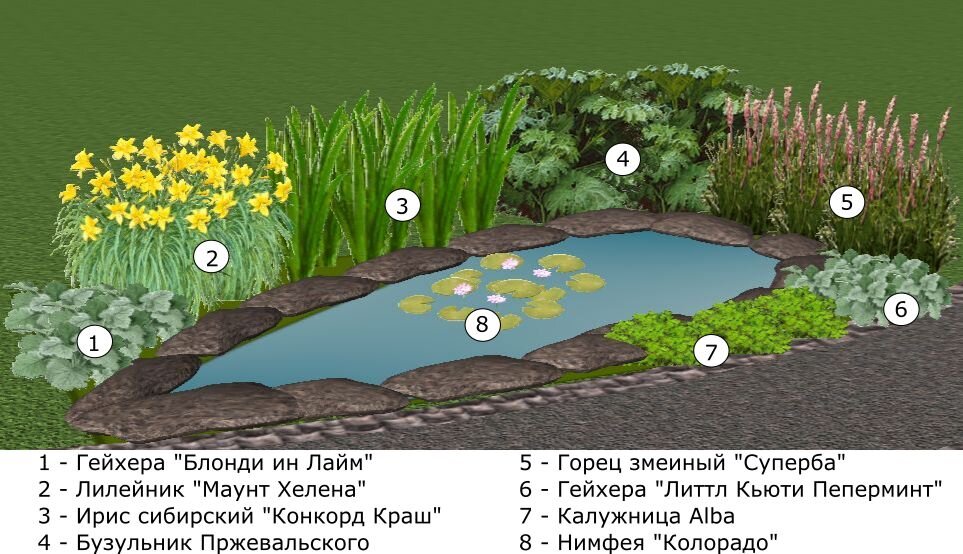 Пруд в августе