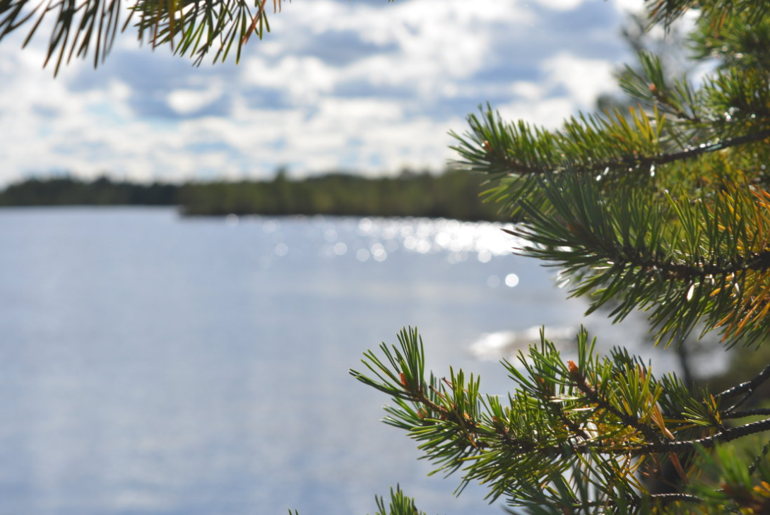 Озеро Каменное. Фото ФотоКто