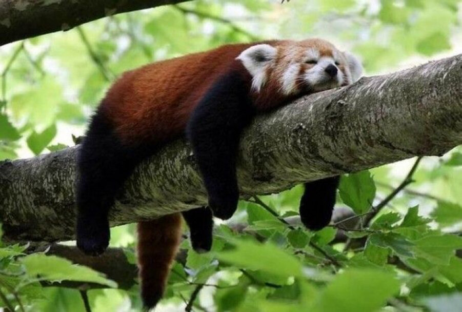 Источник: https://24.kz/media/k2/items/cache/c1e5fb0853169247c048f99dee6d1c3d_XL.jpg