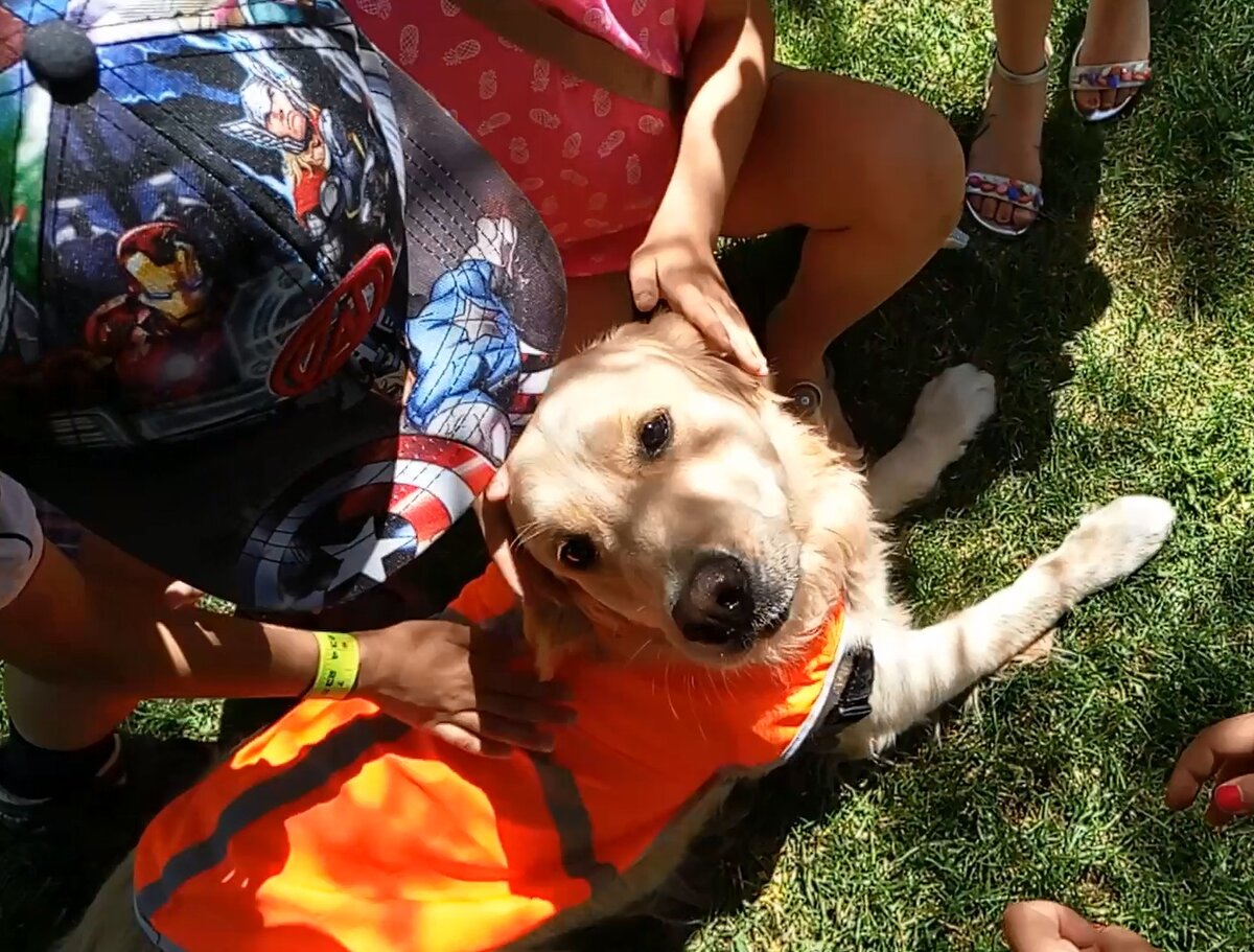 Куба в детском летнем лагере (лекция о собаках-спасателях)