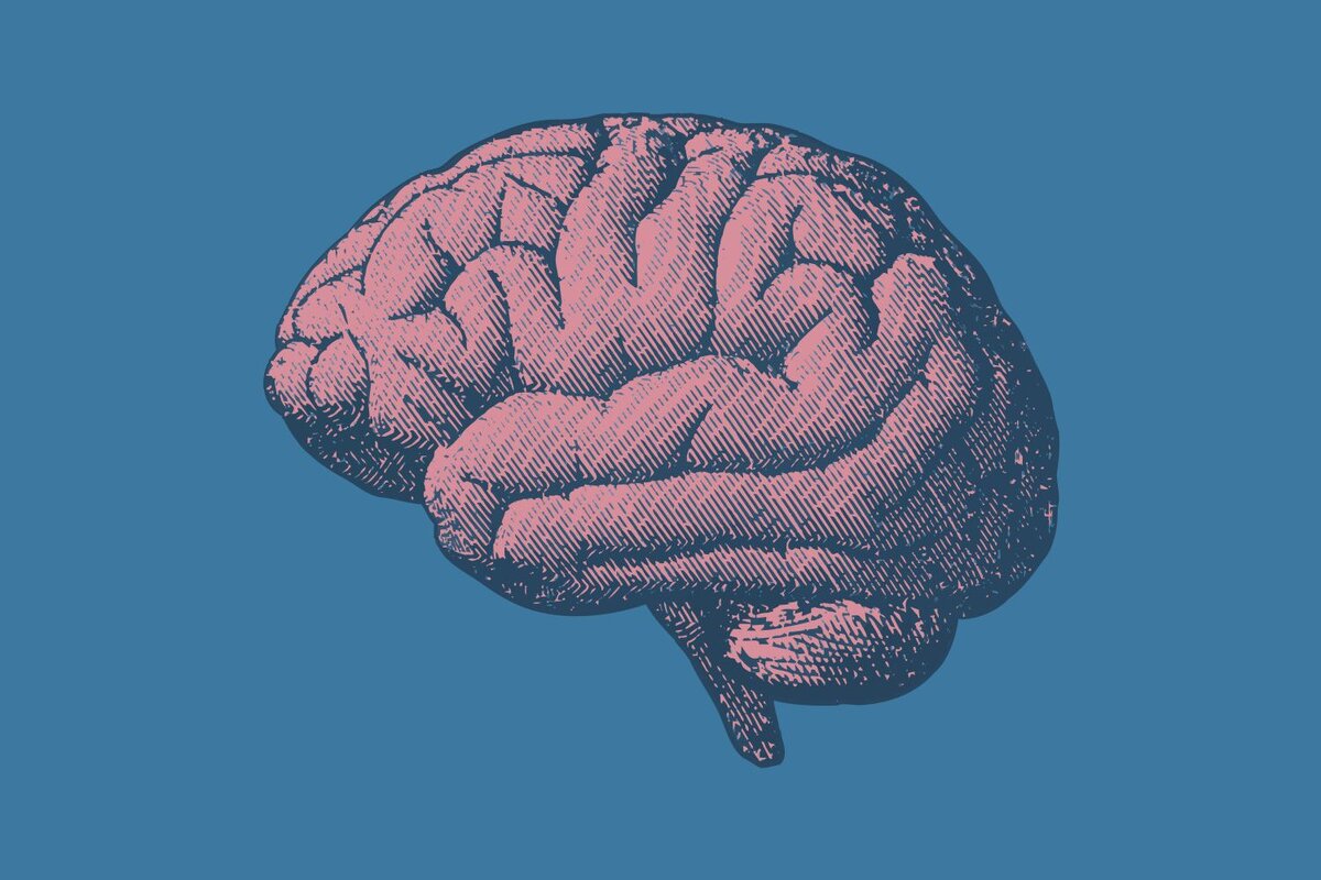 Нейропластичность - возможности мозга меняться