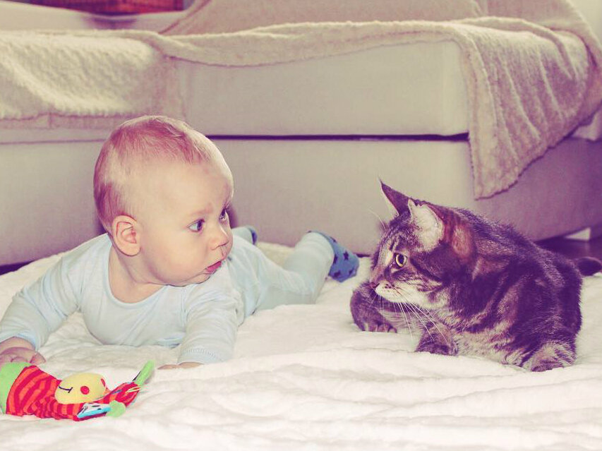 © Instagram @gavrilova.angelika 