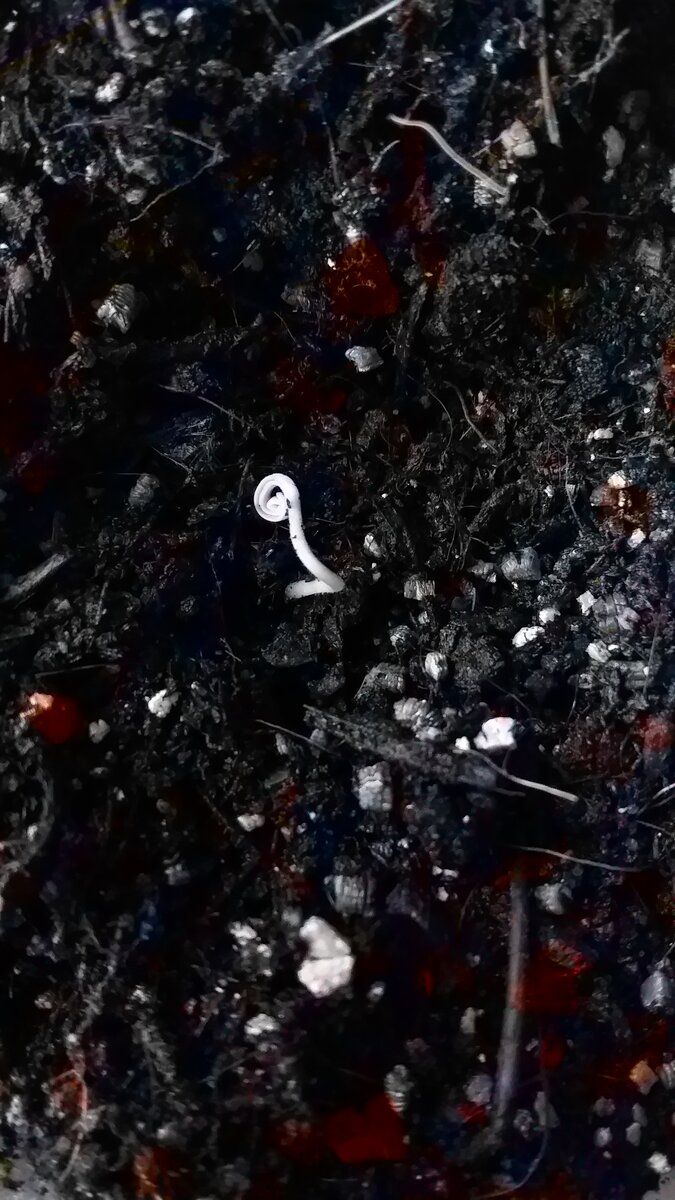 Это фото здесь уже было