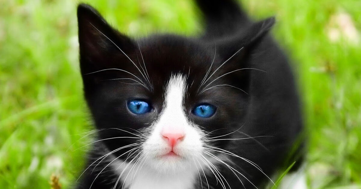 фото из сети