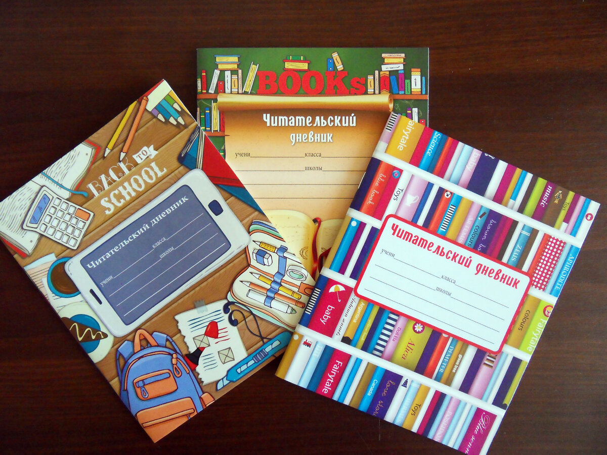 Современный читательский дневник продаётся в книжных магазинах, в магазинах канцелярии.