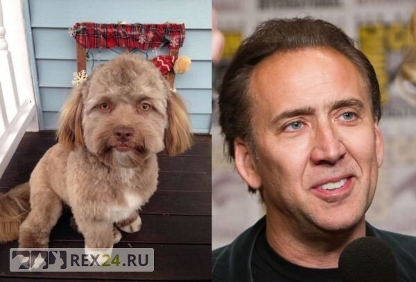  Фото: Шанталь Дежарден