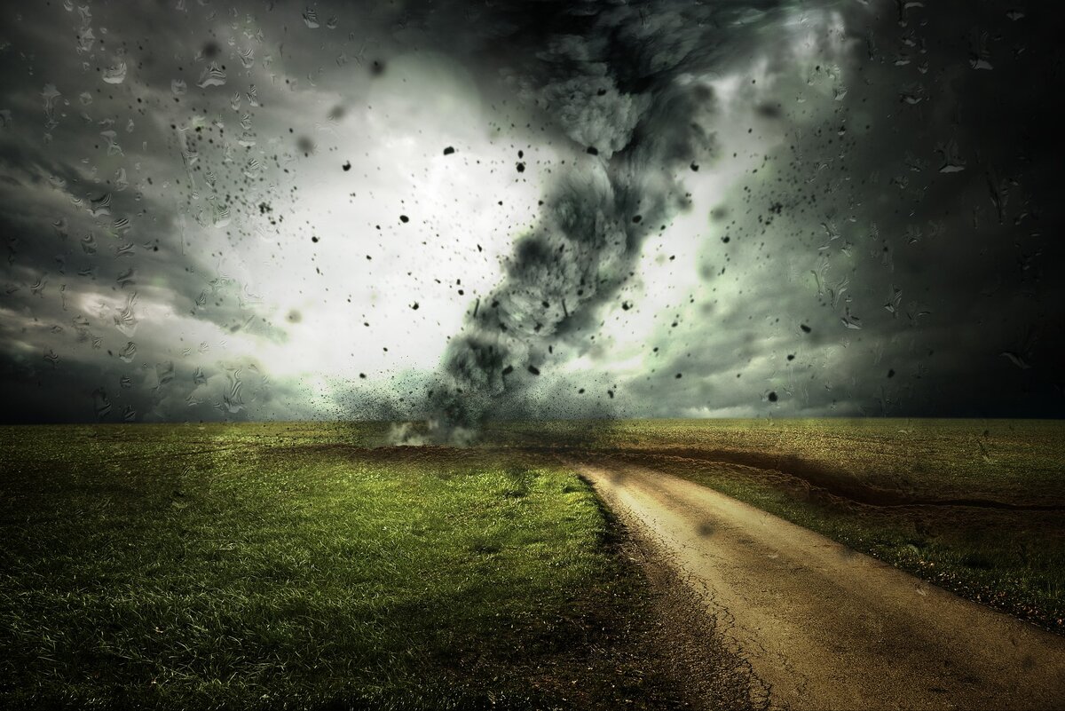 Фото с сайта Pixabay.com из открытого доступа. Автор Comfreak