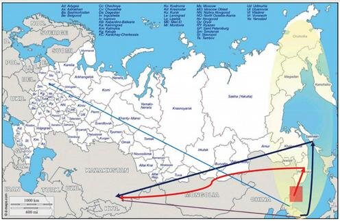 Маршруты перемещений российских и советских корейцев в ХХ веке (нажмите, чтобы увеличить)