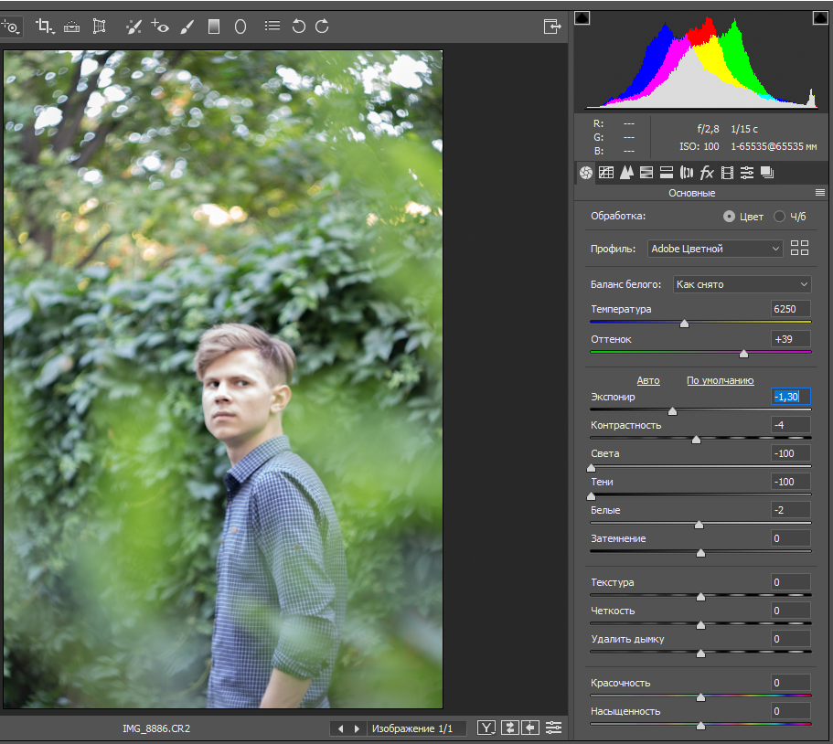 Фото уже приобрело здоровый вид, но нам нужно полностью его обработать.