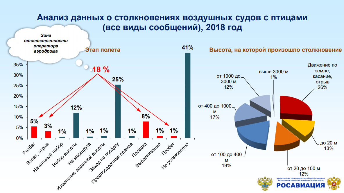 Данные Росавиации о столкновениях с птицами